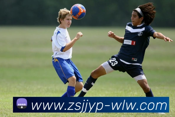 App Interface Preview